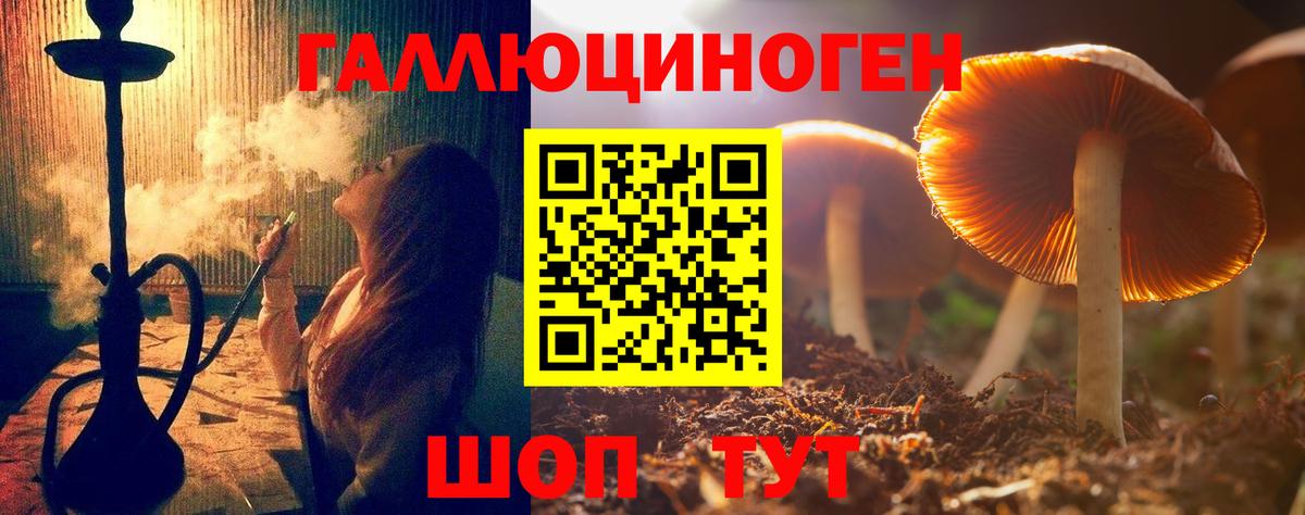Подольск  Галлюциногенные грибы GOLDEN TEACHER  Вход с VPN 